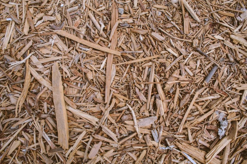 Honeywell develop SAF produced from biomass feedstocks