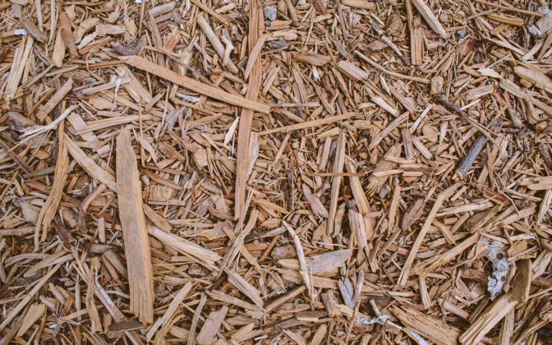 Honeywell develop SAF produced from biomass feedstocks